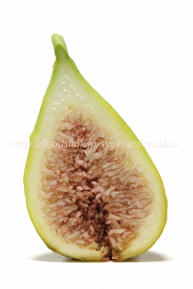 白イチジク バナーネ 夏果 Figbanane16 3456 5184 旬の食材百科 ロイヤリティーフリー画像素材
