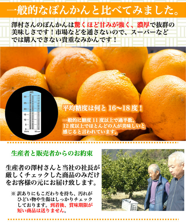 減農薬 ぽんかん 約3kg 贈答 家庭用 優品 大玉2l L 糖度16度 高知県 室戸産 澤村さんの完熟ポンカン 送料無料 土佐カツオとうなぎの通販 高知の旬をお届けする 池澤鮮魚オンラインショップ