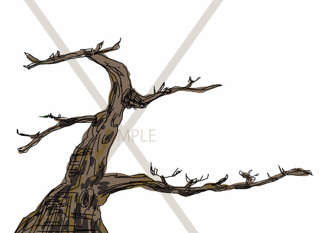 松 ウェディングツリー Wedding Concourse