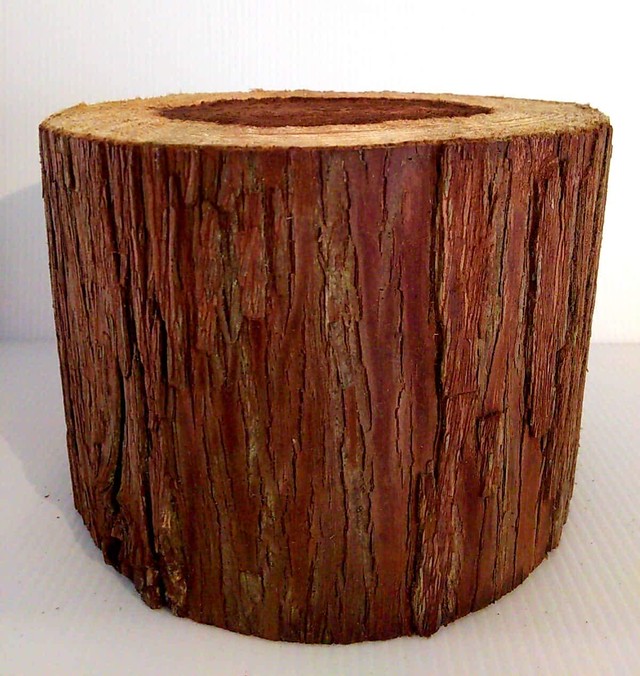 デルフリキャンプ 切り株 作業台 直径23cm 高さ15cm キャンプ用 薪割り台 ナイフワーク チェア 踏み台 パンホルダー ポットベッド 切り株作業 台 丸太 ガーデニング ブッシュクラフト デルフリキャンプ