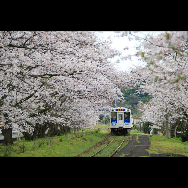 半切プリント額装品 佐賀県伊万里市浦ノ崎駅 Mika Oizumi Photo Works