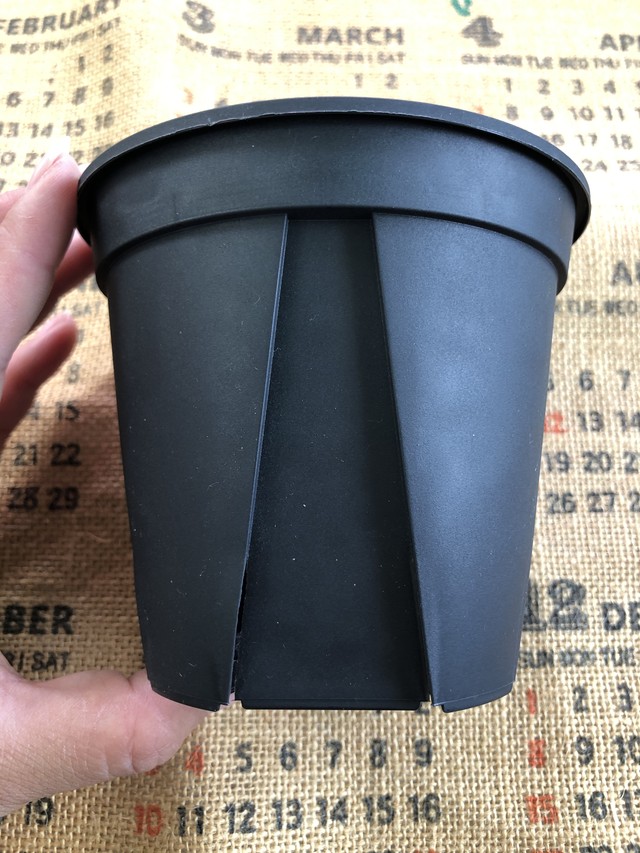 Eu12 30個セット スリット鉢 Black Palmhealing