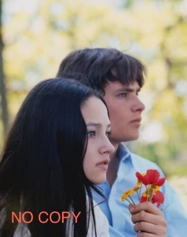 直輸入 写真 ロミオとジュリエット オリビア ハッセー Romeo And Juliet Olivia Hussey Photo 8x10 1608 Movieimages 大分市府内町2 3 天神ビル101 080 42 9150