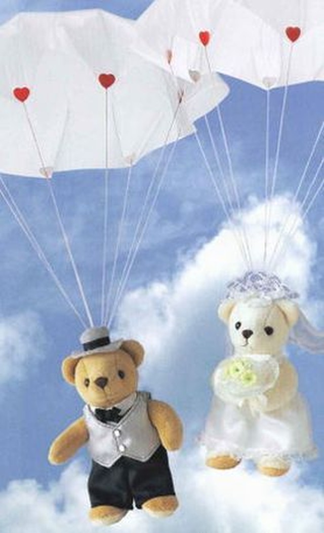 最安値 大特価セール中 ドリーム パラシュートベアーセット 本体発射機レンタル 米style