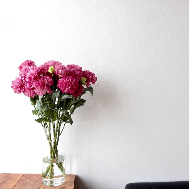 トルコキキョウ Jp Farmers Com