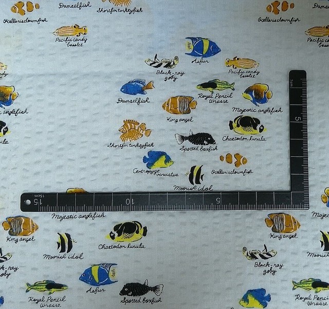 布地のみ表示 布マスク 熱帯魚群 水色地 包み屋