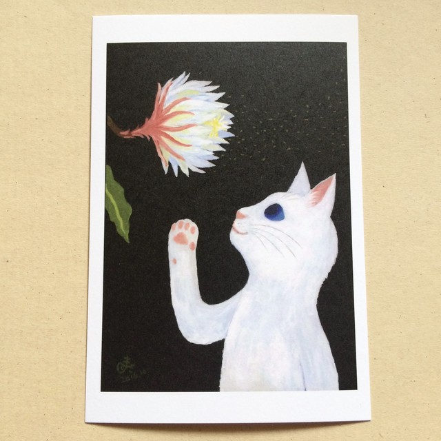 ポストカード 月下美人 儚い恋 Mamekoya