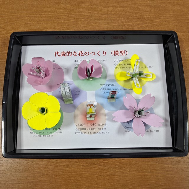 花のつくりペーパークラフト 基本セット Benkyou110