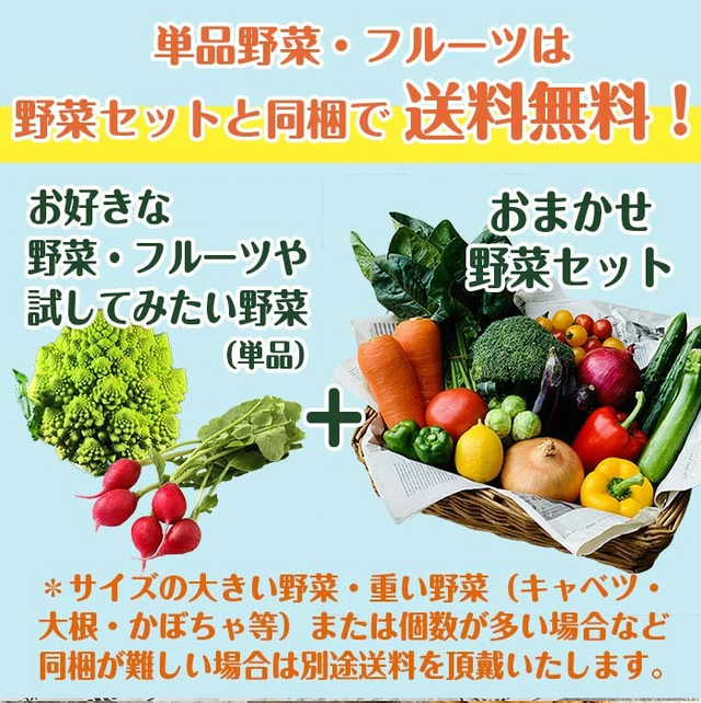 インスタ映え野菜10品目セット 送料無料 新鮮野菜とフルーツのお店 旬屋