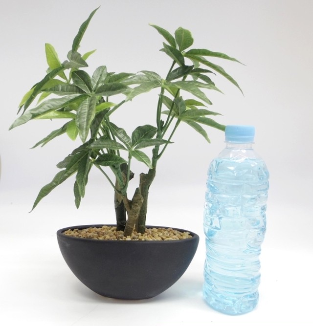 光触媒加工 フェイクグリーン 造花 パキラ 人工観葉植物 インテリア 置物 おしゃれ Zakkalieto リエット