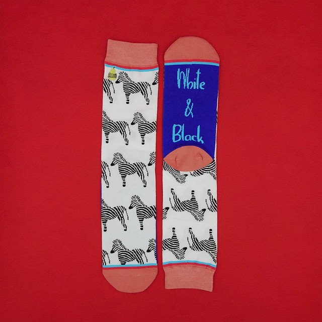 ゼブラ インポート ソックス 靴下 くつした Socks Piedi Vivaci