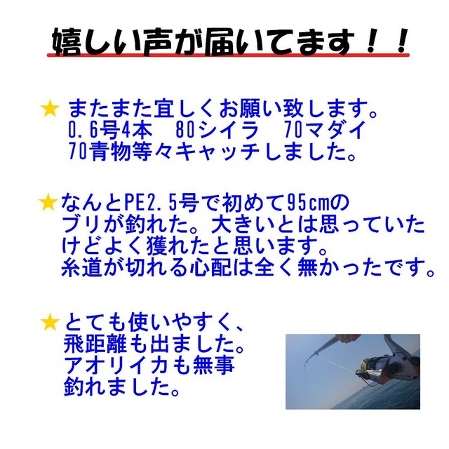 受注生産品 Peライン 1 5号 2 0号 2 5号 3 0号 600m 国産 8本編み 8本撚り Tchp8 10m毎5色マルチカラー1m毎にマーク入り Sky Store