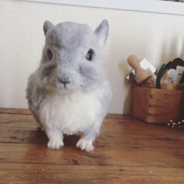 T様オーダーチンチラのまむちゃん Kralik