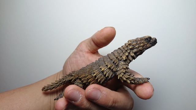 アルマジロトカゲ 未塗装フィギュア 生物部 アルマジロトカゲ 未塗装フィギュア 生物部