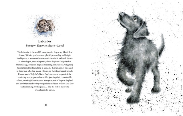 Book004 英語の絵本 A Dog S Life イギリスで人気の犬の解説 Wrendale レンデル