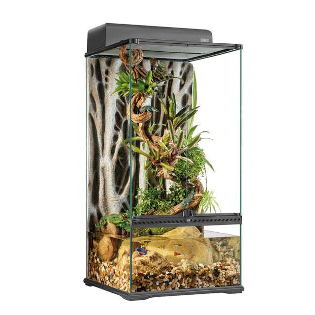 グラステラリウム4590 Pt2606 アカシックレコーディングス株式会社