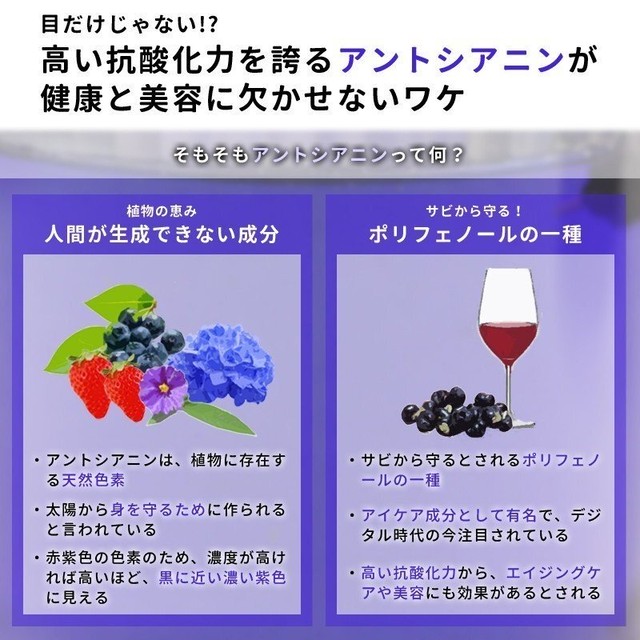 送料無料 ブラックゴジベリーサプリメント サプリ 1ヶ月 美容 美肌 目 眼 疲れ 健康 パソコン スマホ サプリメント 62粒 アントシアニン 女性 男性 黒枸杞 黒クコ 産直ザ ワールド