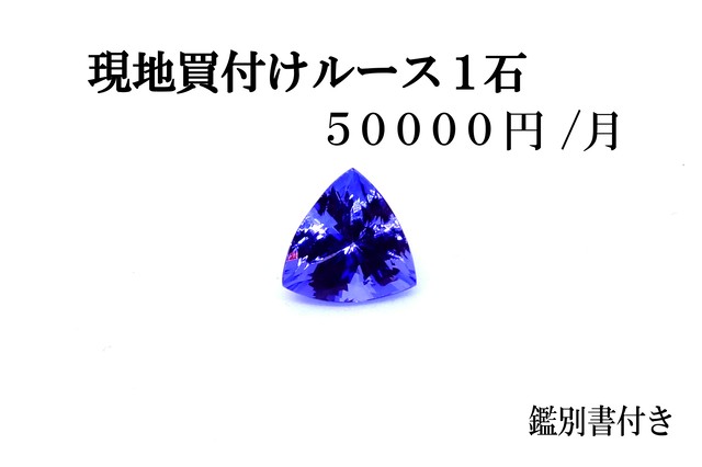 毎月50 000円で本物の綺麗な宝石があなたに届く 品質重視１石コース いけだ屋