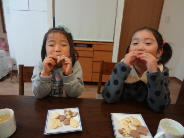 自然素材 冷凍クッキー 大人セット ローズマリー シナモン 抹茶 各１本３本セット 冷凍生地 切って焼くだけ ハートフルスイーツ 自然素材の 冷凍クッキー生地通販 岡崎市npo法人ハートフルフレンズ