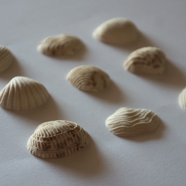 貝　9個入り