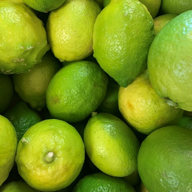 国産無農薬レモン 無添加 無加糖ドライフルーツg Karuizawa Naturalfoods