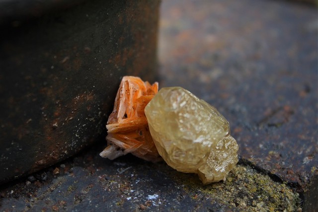 セルサイトクリスタル オン マトリックス T Stones 英国