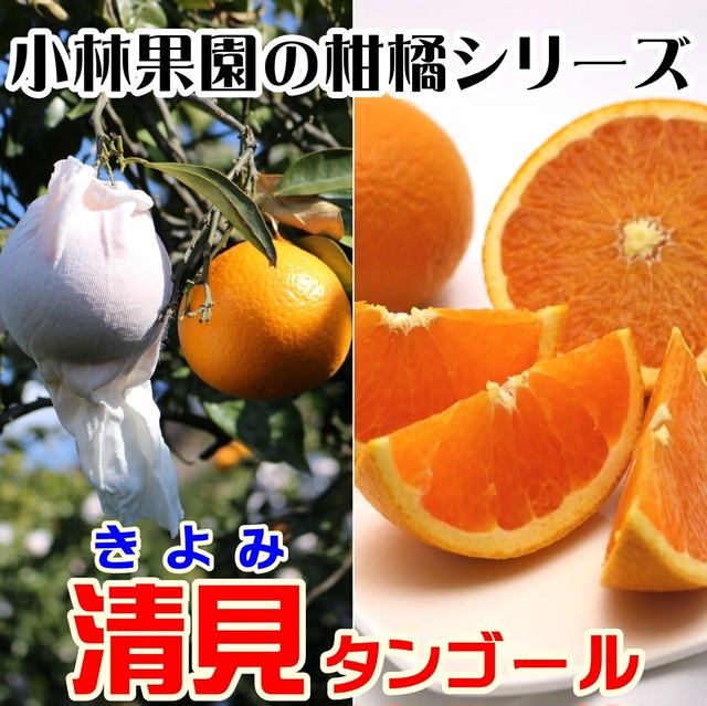 小林果園の清見 2.5kg