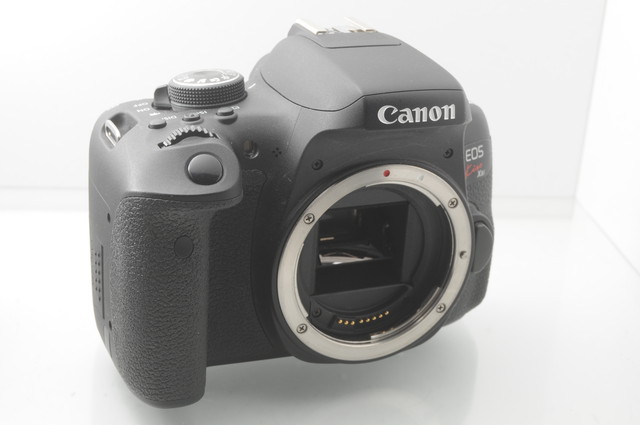 中古 保証付 送料無料 Canon デジタル一眼レフカメラ Eos Kiss X8i レンズキット Ef S18 55mm F3 5 5 6 Is Stm レンズキット 一眼レフカメラ 一眼レフ 中古 一眼レフ 一眼レフカメラ 初心者 カメラ Eos カメラレンズ 送料無料 鉢花工房トマト