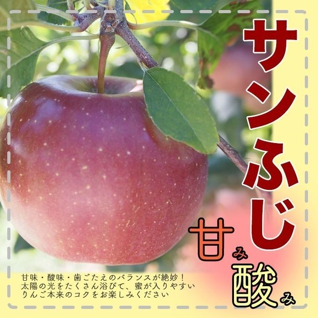 青森県津軽産りんご 葉とらずサンふじ 訳あり ご家庭用３kｇ 箱 送料無料 こだわり市場