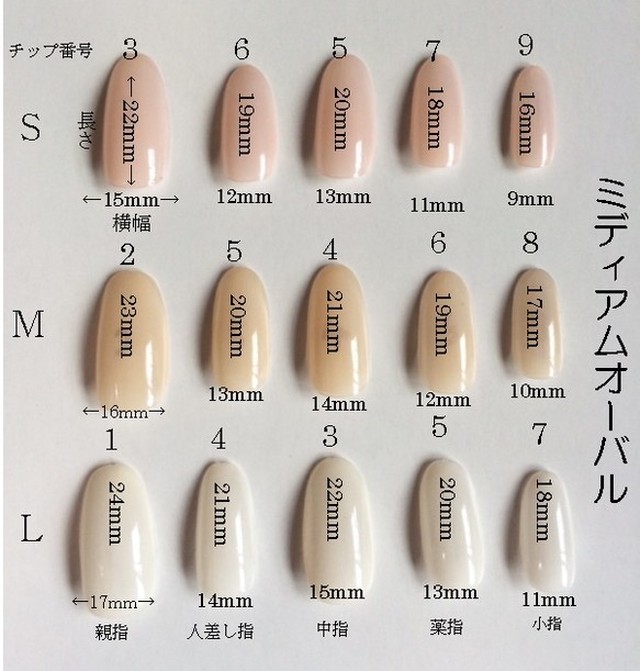 秋ネイル お花埋め込み ミルクティー ベージュ ネイルチップ Neph Nail １級ネイリストによる３dネイルパーツ ネイルチップ販売