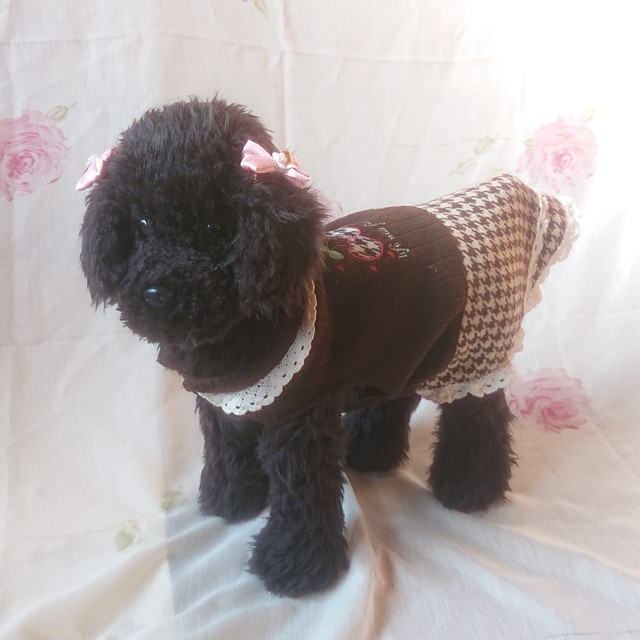 限定 トイプードル用 ６ １リブニット ブラウン系千鳥格子 レース付き Mokooox