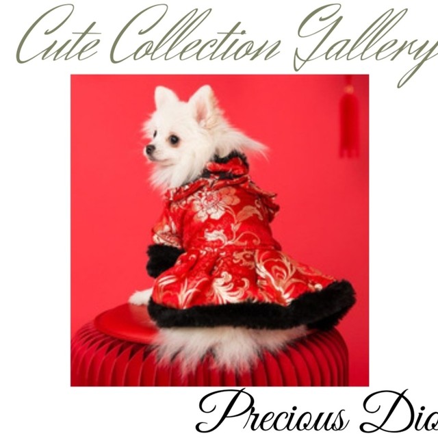 予約販売 オシャレなチャイナドレスワンピース 犬用 春服夏服秋服冬服 ペット リボン 犬服 犬グッズ ヘアバンド Xs S M ｌ Xl 撮影用 撮影会 誕生日 ギフト 可愛い Dogwear Precious Dio 犬服 ペット ドッグウェア