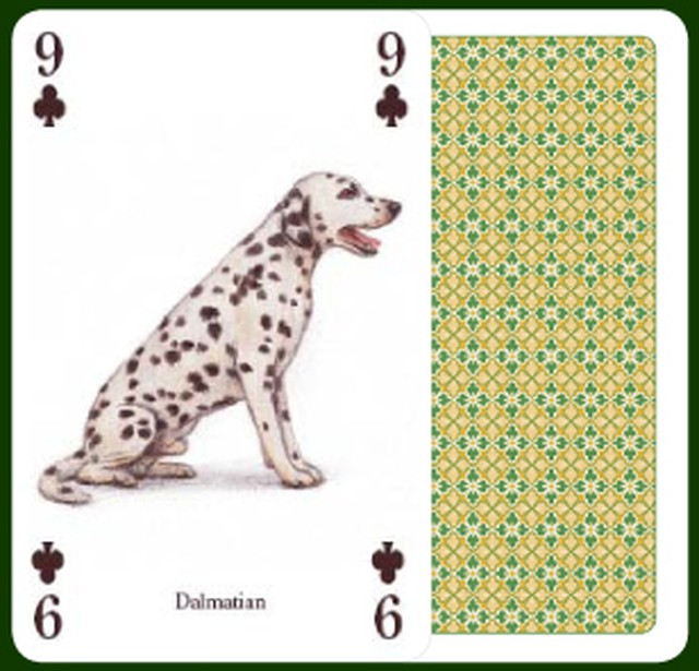 トランプ 世界の犬 Heritage Playing Card Company H 英国雑貨専門店ブリティッシュ ライフ