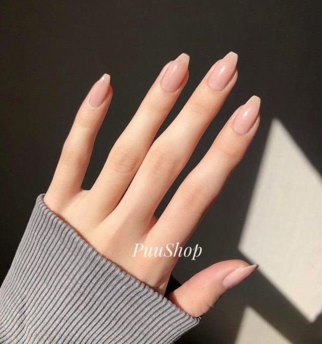 ネイルチップ ショートバレリーナ500枚 クリアネイルチップ ネイルチップ つけ爪 購入ならpuke Nail