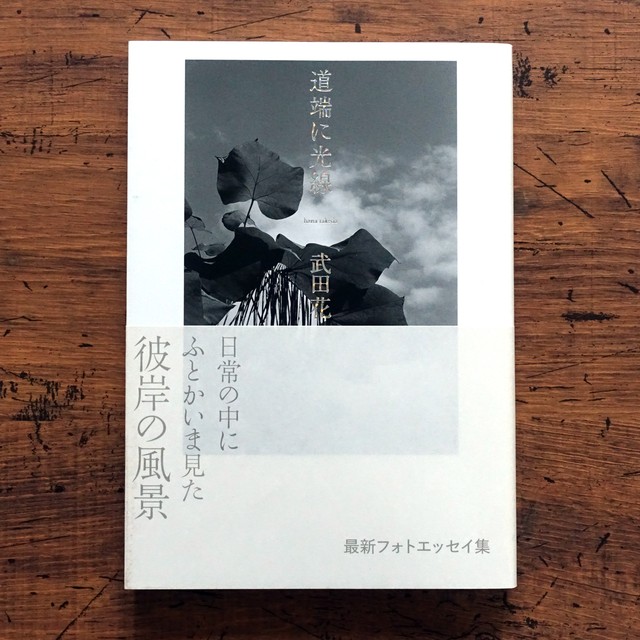 武田花 道端に光線 タイムカプセル