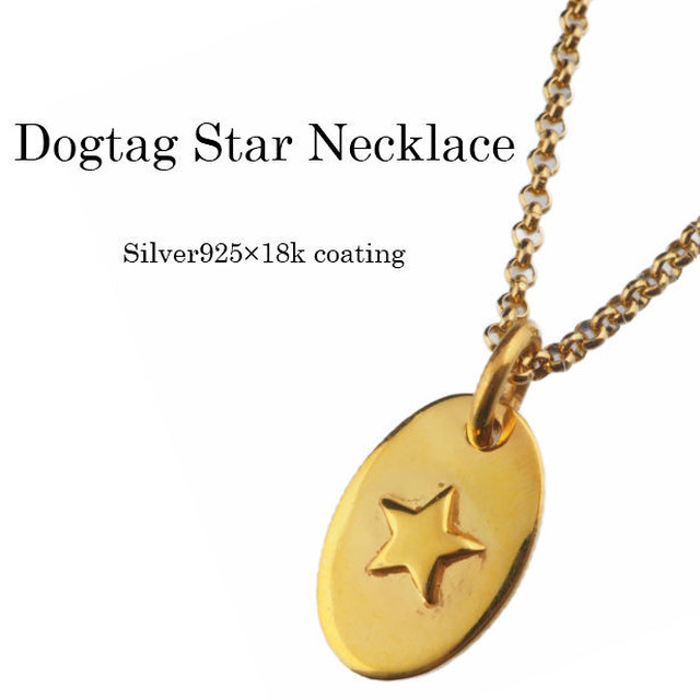 ドッグタグスターネックレス 星 ゴールド メンズ レディース ネックレス ペンダント シルバー925 18k Coating 小さめ 金属アレルギー対応 ステンレス 小豆チェーン45cm付き Abalent