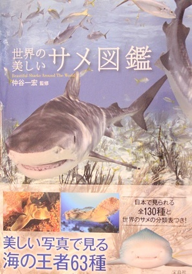 世界の美しいサメ図鑑 仲谷一宏 監修 Gufo グーフォ