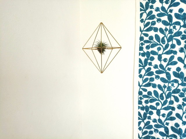 エアプランツをおしゃれに飾ろう 真鍮製のエアプランツホルダー 10面体キューブ Brass Himmeli