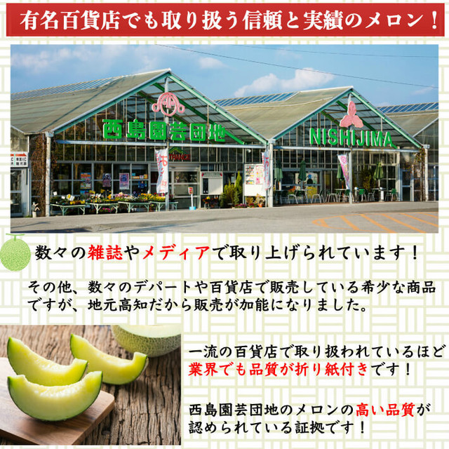 高知県産 マスクメロン 大玉 約1 5ｋｇ 2 お取り寄せ ギフト フルーツ 果物 送料無料 土佐カツオとうなぎの通販 高知 の旬をお届けする 池澤鮮魚マリンオンラインショップ