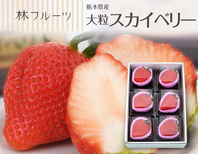 大粒スカイベリー〔送料無料、スカイベリー、いちご、苺、大粒、詰め合わせ、贈答用〕