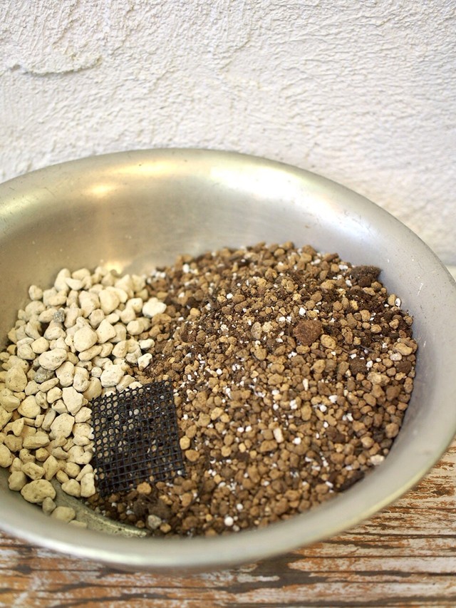 植え替えセット 多肉植物用 Cotoha