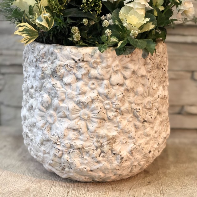 葉牡丹と白いお花を使ったホワイトギャザリング寄せ植え 橋本種苗園