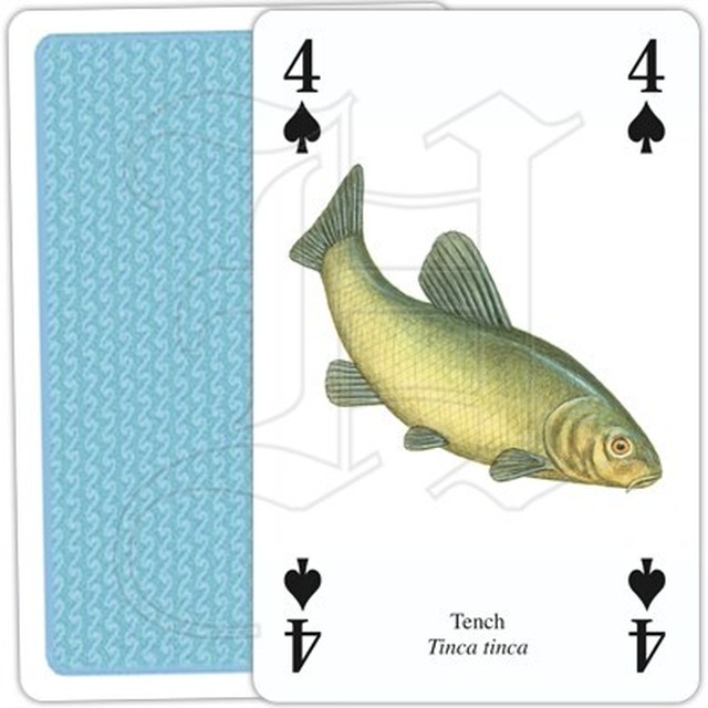 トランプ 魚 Heritage Playing Card Company P 英国雑貨専門店ブリティッシュ ライフ