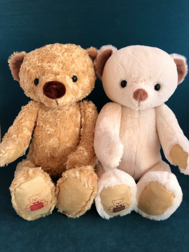 山中湖テディベアワールドミュージアム オリジナル ベア ｍサイズ 山中湖テディベアワールドミュージアム 湖麺屋リールカフェ