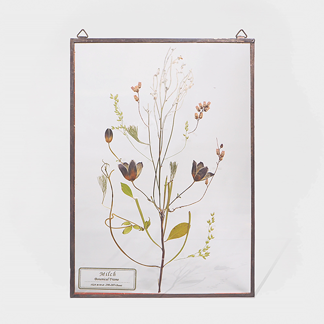 Botanical Frame L014 Copper Milch Inc Llc