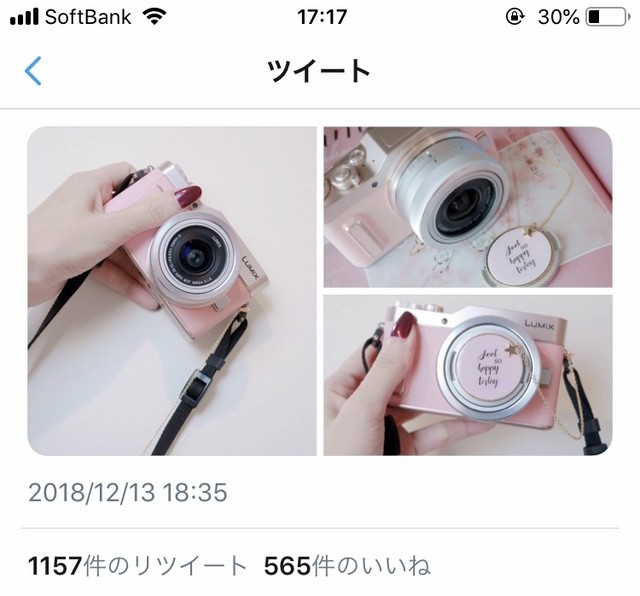 1つで3役 レンズキャップ紛失を防止 アクセサリーのようなレンズキャップストラップ フェミニンキャット Meril