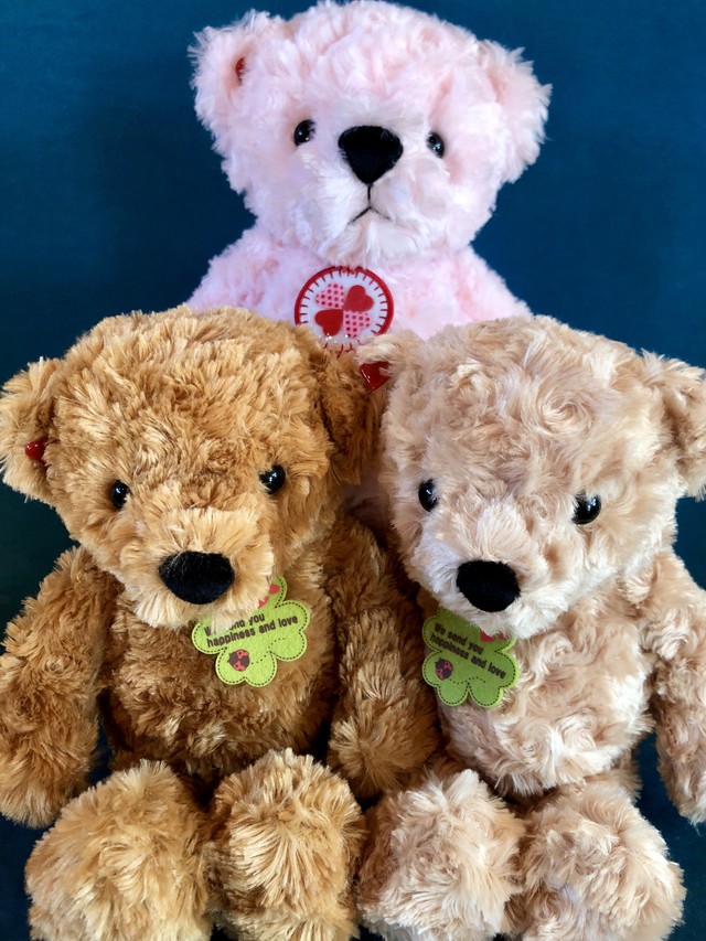 幸せを呼ぶくまさん ぬいぐるみ Sサイズ 山中湖テディベアワールドミュージアム 湖麺屋リールカフェ