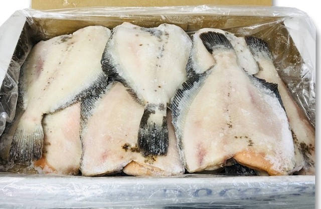 子持ち 浅羽 かれい 無頭 5kg 12 16枚前後入り 煮付けに最適煮付けに最適 冷凍便 うまいもの市場