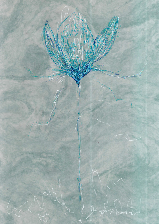 はな ボールペン画 Mori S Shop