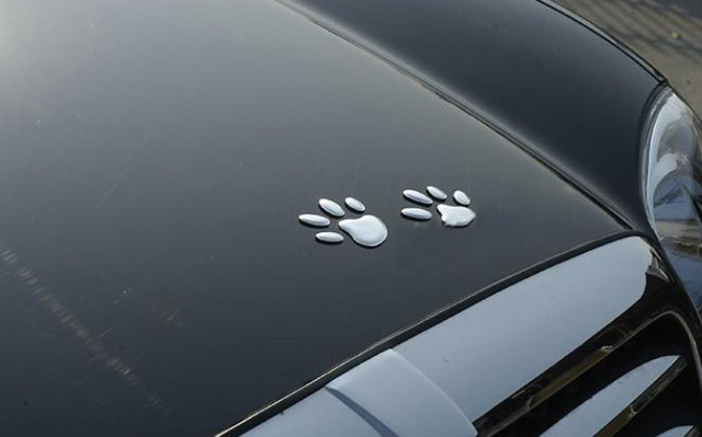 カワイイ肉球 足跡 ステッカー 3d車 インテリ シール デコ Car Life Shop